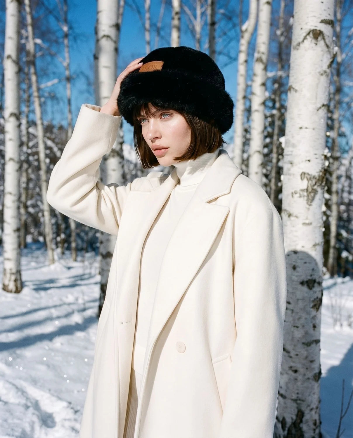 Boreal Hat negro en modelo, bosque de abedules